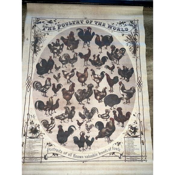 Poultry of the World Art Decor Twine Hanger 33x46 - Picture 2 of 6